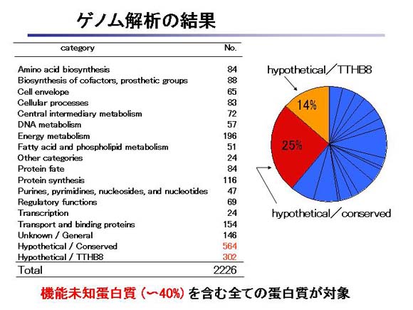ゲノム解析