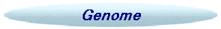 Genome