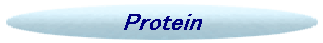 Protein